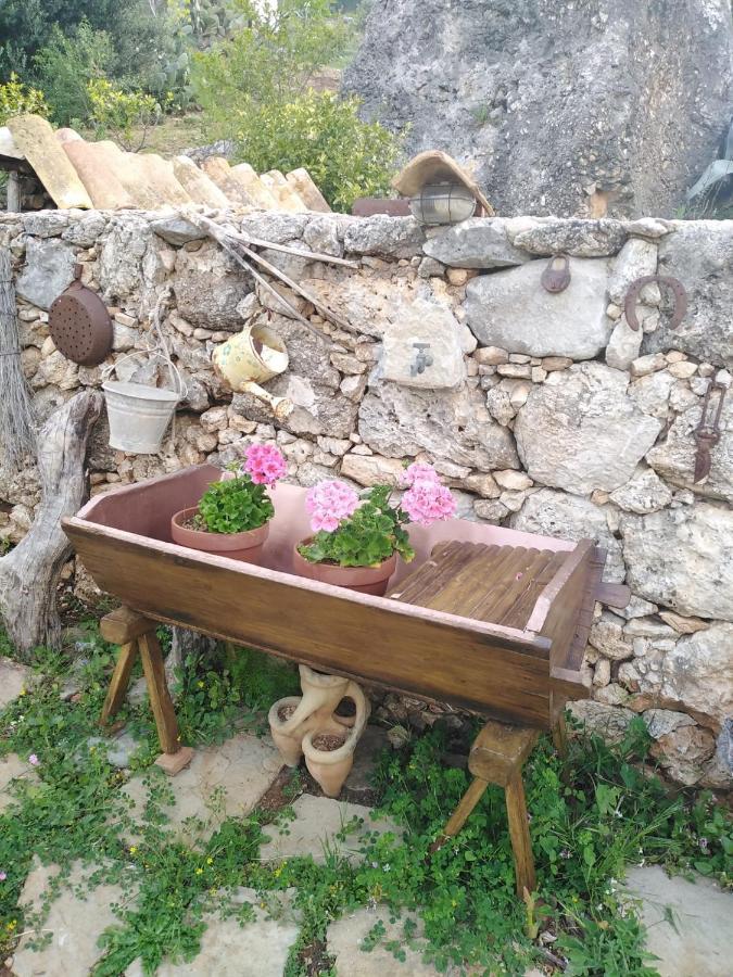 Il Corbezzolo Suite Appartament Castelluzzo Extérieur photo