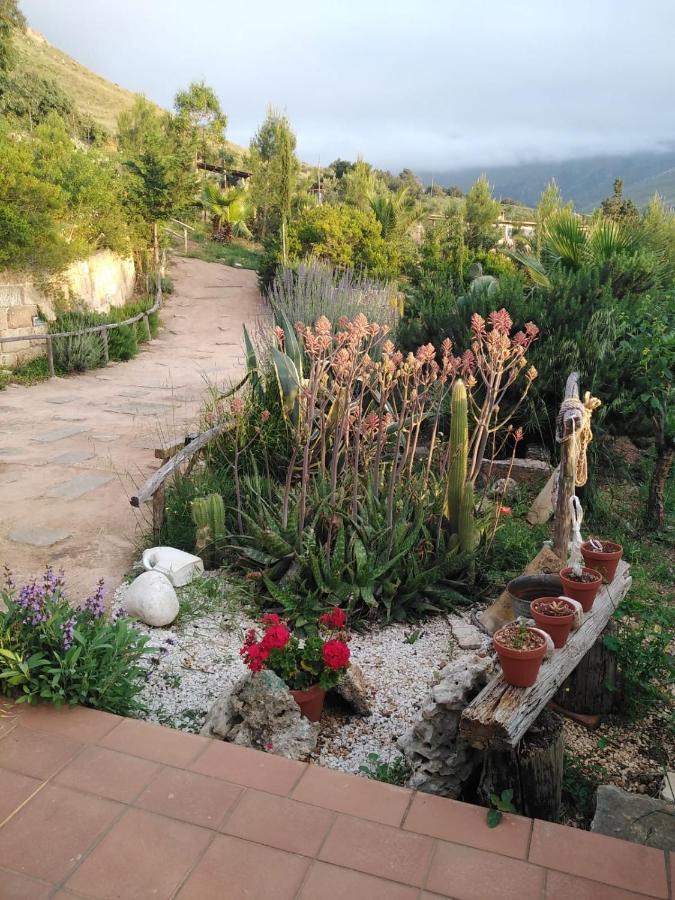 Il Corbezzolo Suite Appartament Castelluzzo Extérieur photo